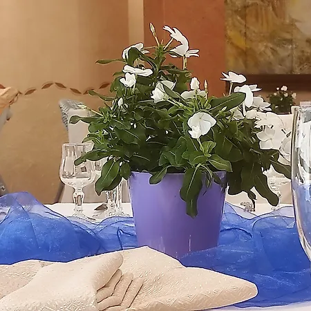 Euro Otel 3*